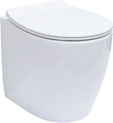 Allen Brau Унитаз приставной Fantasy 4.11007.20 белый глянец – фото-1